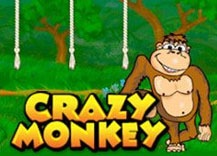 Crazy Monkey